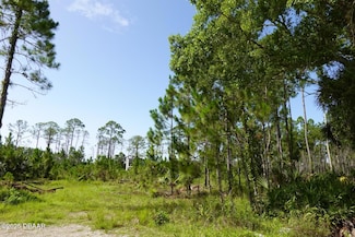 3738 Honeydew Ln, Samsula-Spruce Creek, FL 32168