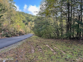 1423 Mountain Dreams Way, Sevierville, TN 37862