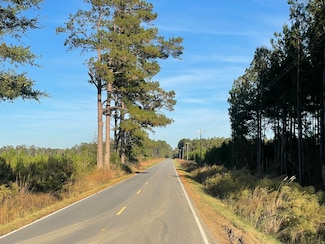 0 Schoolhouse Dr, Hemingway, SC 29554