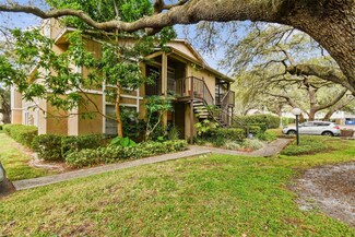 14324 Hanging Moss Cir Unit 102, Tampa, FL 33613