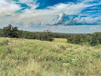 5913 E Us Highway 79, Buffalo, TX 75831