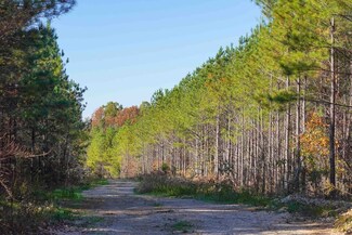 0 Old Highway 18 Unit RTC2650877, Stewart, TN 37175
