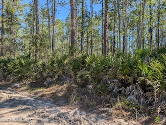 LOT 36 Dines Ave, Interlachen, FL 32148