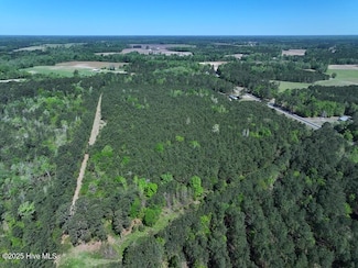0 Williamson Rd, Fairmont, NC 28340