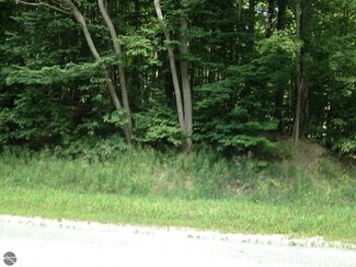 6426 Helena Rd, Alden, MI 49612