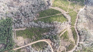 0 Highway 9 Lot Unit Wp000, Bienville, LA 71008
