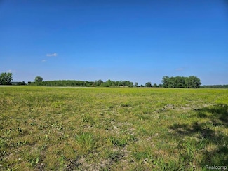 00 Cade Rd, Mussey Township, MI 48014