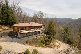 263 Mine Cove Rd, Spruce Pine, NC 28777