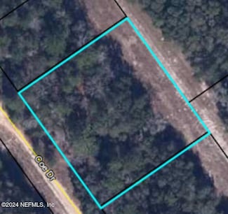 7189 Coe Dr, Keystone Heights, FL 32656