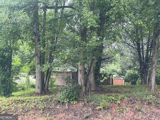 1111 Georgia 63, Homer, GA 30547