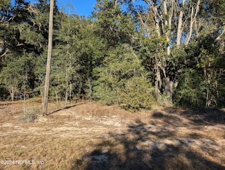 0030 Luther Dr, Interlachen, FL 32148