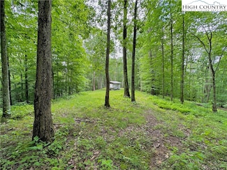 149 Painter Rd, Banner Elk, NC 28604