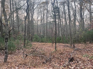 129c6c14 Rock Ledge Trail, Fancy Gap, VA 24328