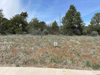 23 Salt Brush St, Durango, CO 81301