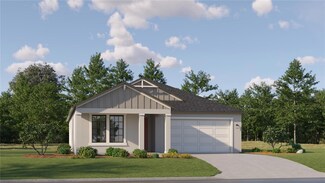 18334 Serene Lake Loop, Lutz, FL 33548