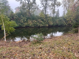 7125 Holiday Dr, Canadian Lakes, MI 49346