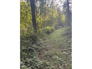 0 Mathews Rd, Washougal, WA 98671