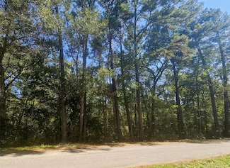 TBD Royal Springs Rd, Conroe, TX 77303
