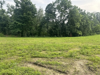 0 Annie Hollow Rd, Westmoreland, TN 37186