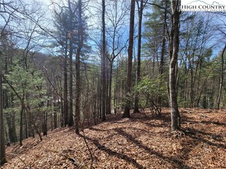 TBD (Lot 72) Creekside Meadows Dr, Fleetwood, NC 28626