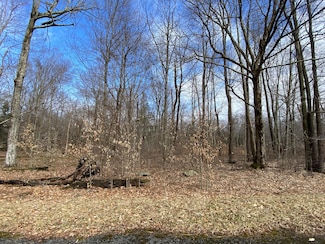 1020 W Wadi Rd W, Pocono Lake, PA 18347