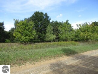 5561 N Caris Rd, Edmore, MI 48829