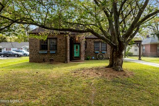 112 S Audubon Ave, Goldsboro, NC 27530