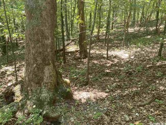 0 Creekside Trail Unit 20028844, Mammoth Spring, AR 72554