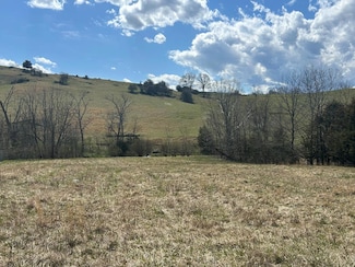 TBD Cedar Creek Rd, Meadowview, VA 24361