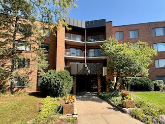 950 E Wilmette Rd Unit 414, Palatine, IL 60074