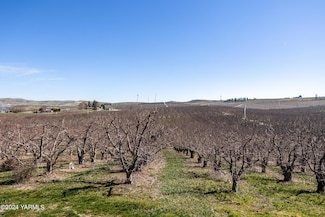 4851 Lombard Loop Rd, Zillah, WA 98953