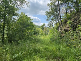 0 Puncheon Creek Road Lot Unit WP001, Jackson, KY 41339