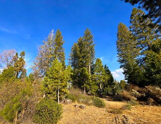 39593 Sunset Rock Ln Unit 46, Shaver Lake, CA 93664