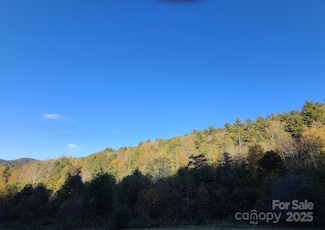 Tracts 2A & 2B Rabbit Skin Rd, Waynesville, NC 28785