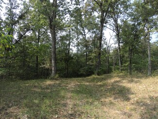 Lot 4 Daisy Ln, Williams Township, MO 65681