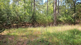 0 Double Branches Rd Unit 534146, Lincolnton, GA 30817