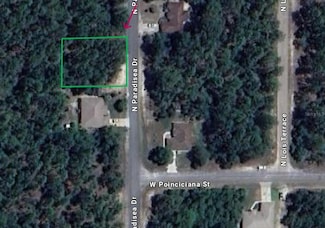 9660 N Paradisea Dr, Citrus Springs, FL 34433