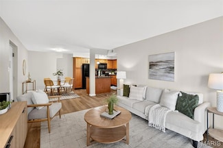 1431 Willow Brook Cove Ct Unit 2, St. Louis, MO 63146