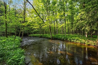 0 Cummings Rd, Lacona, NY 13083