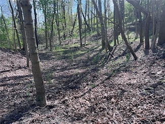 0 Mcburney Rd, Chartiers, PA 15317