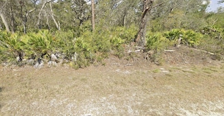 3037 Cacao Rd, Lake Placid, FL 33852