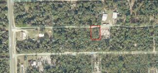 00 NE 235th Place, Fort McCoy, FL 32134