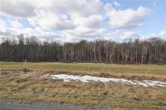 13946 Bishop St, Henderson, NY 13650