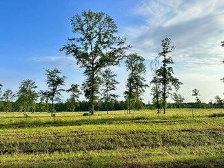 Tract 1 Fm 2261, Shelbyville, TX 75973