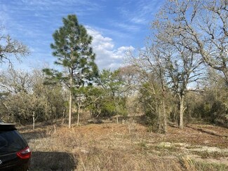 Lot 33 SW Portulaca Ct, Rainbow Lakes Estates, FL 34431