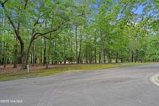 3525 Fairway Crest SW, Shallotte, NC 28470