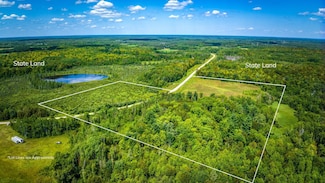 TBD Silver Maple Rd NW, Maple Ridge Township, MN 56667