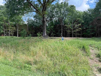Lot 305 Pecan Point Ln, Goreville, IL 62939