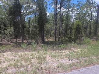 Lot 34 SE 128 Ave, Dunnellon, FL 34431