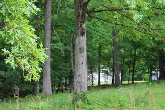 000 S Highway 810, Kuttawa, KY 42055
